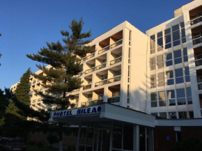 Hotel Bâlea